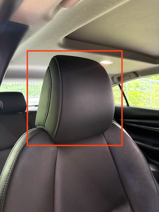 DRIVER SEAT HEADREST
