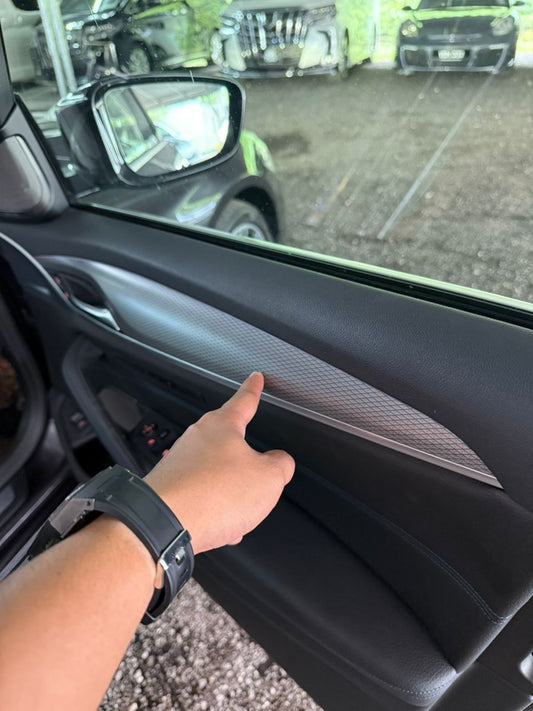 DOOR DRIVER PANEL